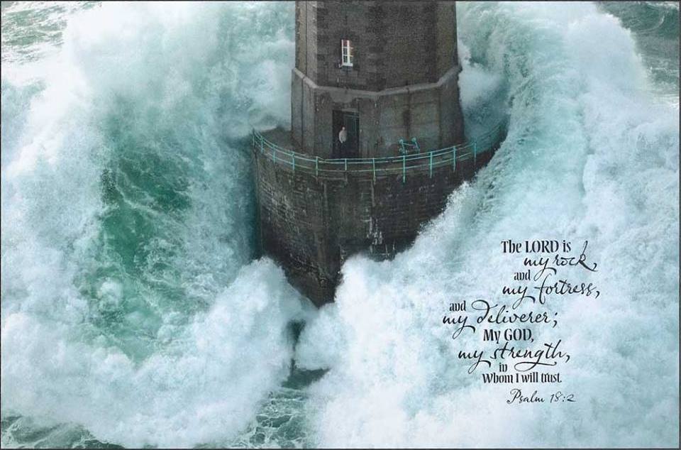 22814473_489307268117525_8341403807390949855_n