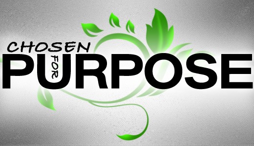 Image result for chosen by god